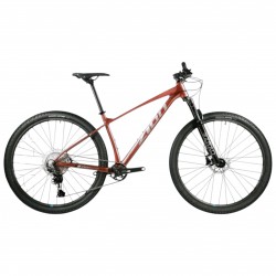 Mtb Zion Strix Rodado 29 11 Vel LIQUIDACION