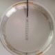 Aros R28 de aluminio clincher cromo 32H LIQUIDACION