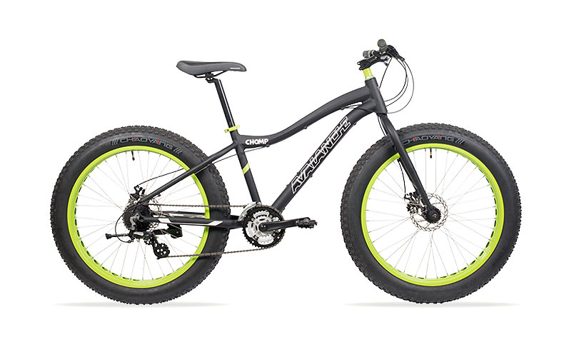 bicicleta fat bike.jpg